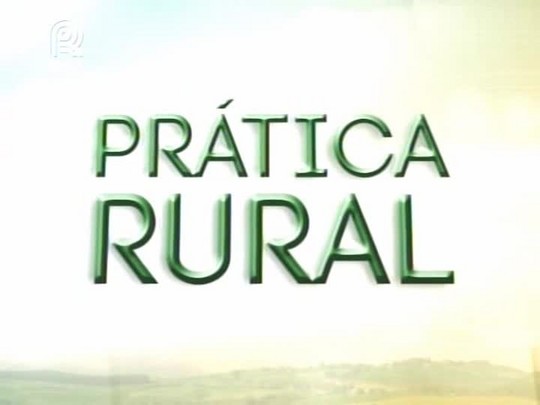 Prática Rural fala sobre mercado de feijão