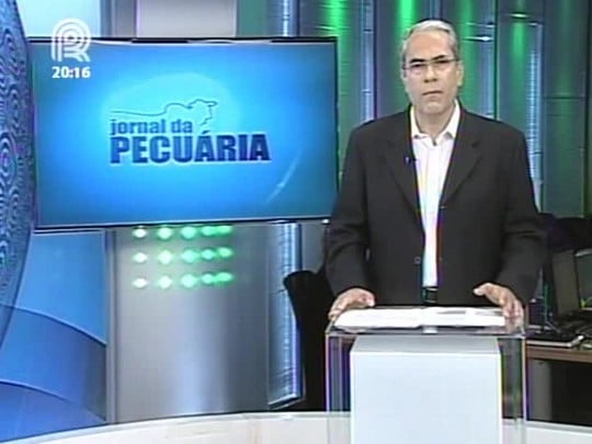 Referência para a arroba do bovino terminado ficou estável nesta sexta