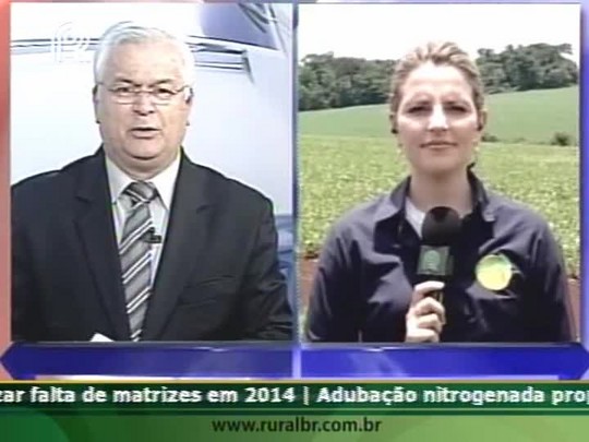 Produtor Vittorio Venturi diz que refúgio deveria ser obrigatório por lei