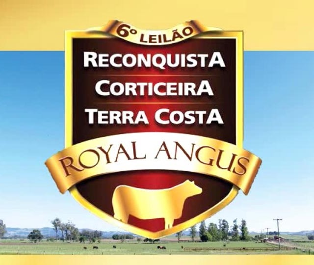 6º Leilão Royal Angus