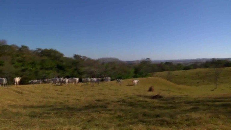 Parceiros do Campo- Goianópolis – GO