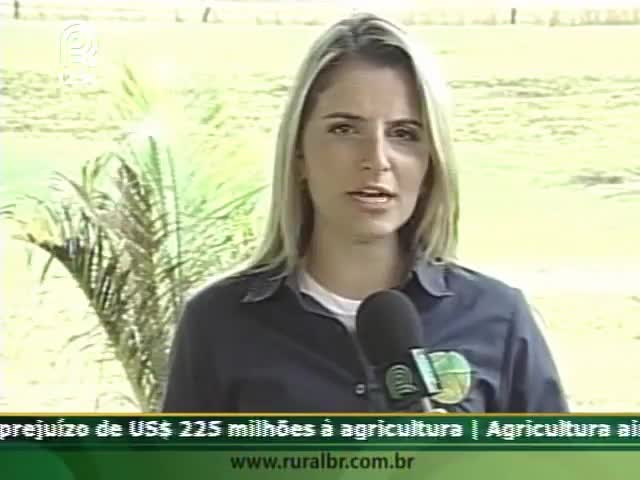 Chegada de beneficiadora de milho anima Maracaju (MS)