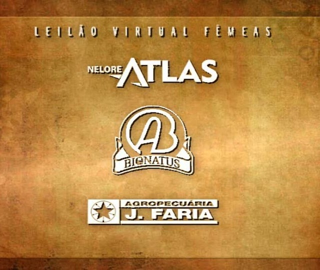 Leilão Virtual Fêmeas Agropecuária J Faria, Nelore Atlas, Bionatus & Convidados