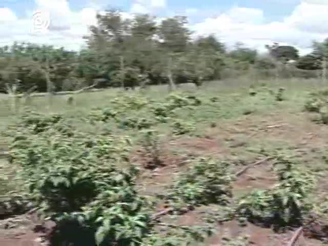 Regularização de agroindústrias familiares fica mais simples a partir do ano que vem