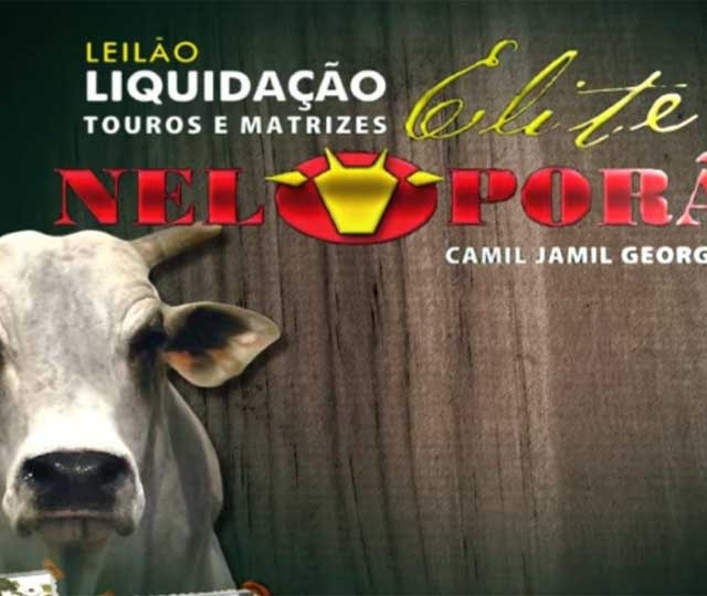 C2Rural transmite Leilão Liquidação Elite Neloporã