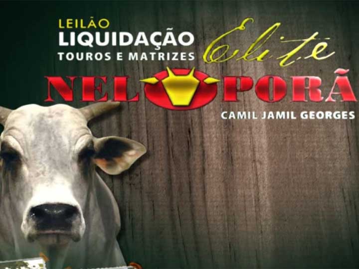 C2Rural transmite Leilão Liquidação Elite Neloporã