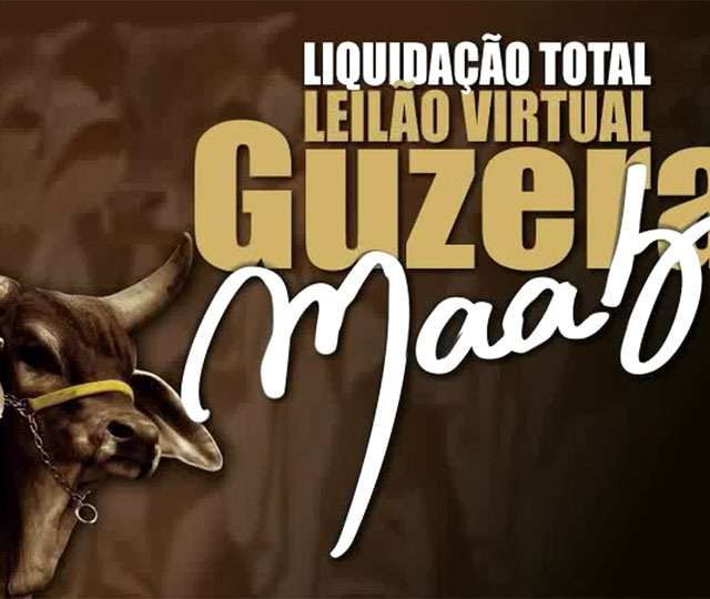 C2Rural transmite Leilão Virtual Liquidação Total Guzerá Maab