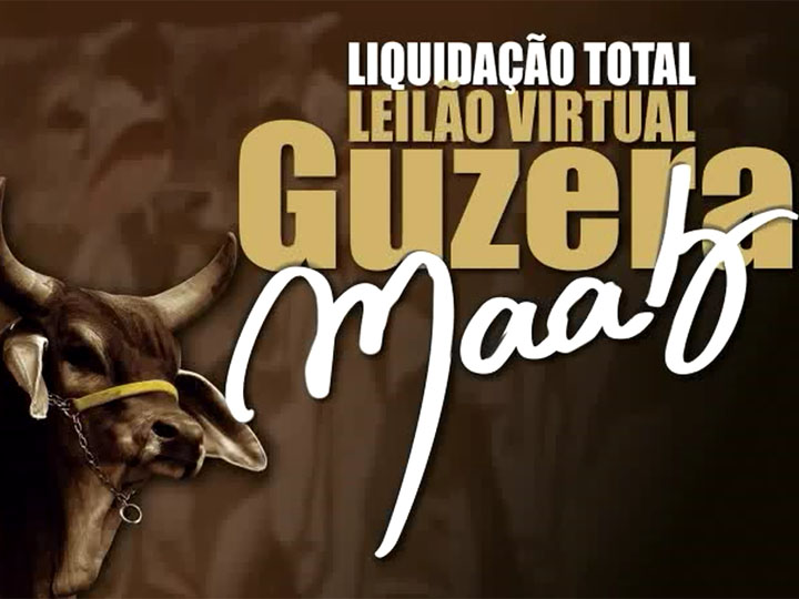 C2Rural transmite Leilão Virtual Liquidação Total Guzerá Maab