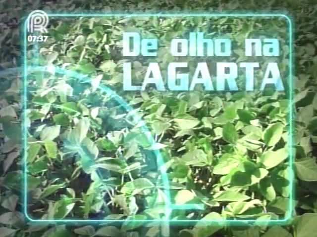 Canal Rural lança especial sobre a lagarta helicoverpa