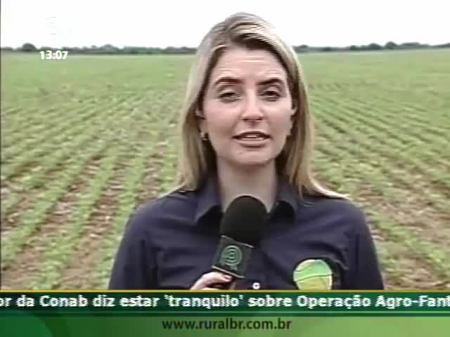 Cultivo de braquiária ajuda na qualidade das lavouras de soja