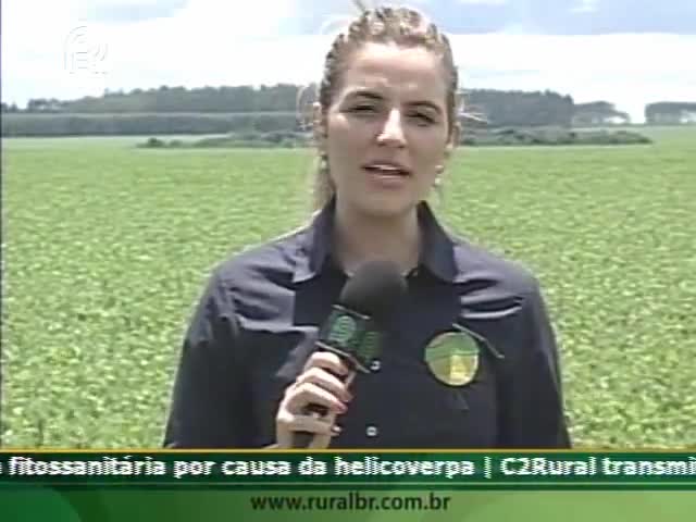 Equipe do Soja Brasil chega a Campo Verde (MT)