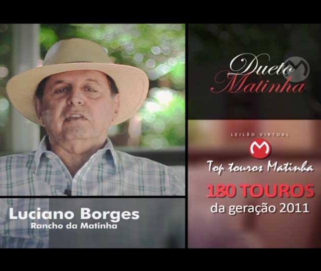 Leilão Virtual Top Touros Matinha