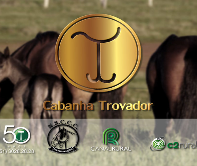 Leilão Trovador