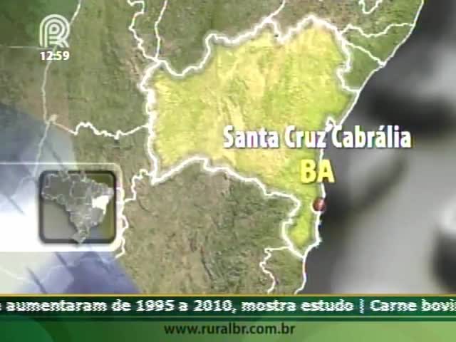 Mais uma propriedade é invadida por índios na Bahia