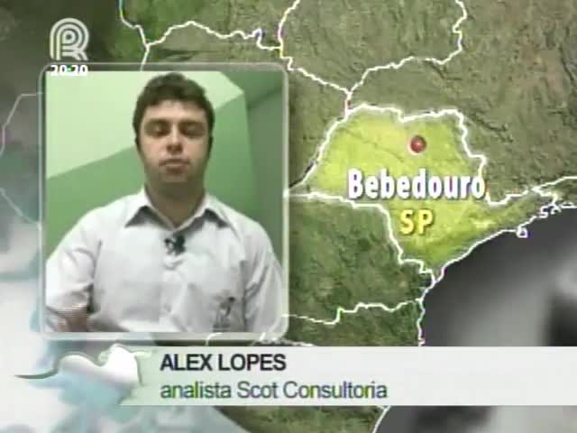 Analista da Scot Consultoria fala sobre os preços do boi gordo