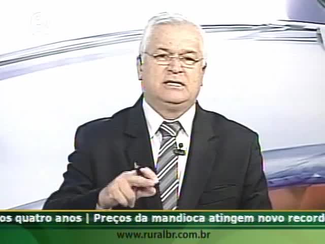 Trigo pode perder qualidade com excesso de chuva