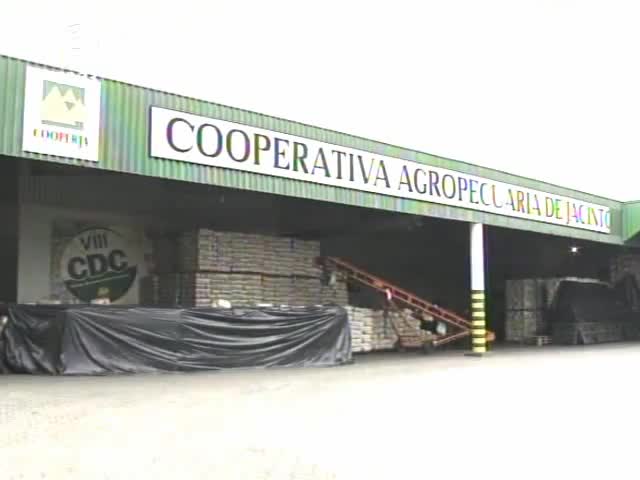 Cooperativismo em Notícia mostra ações de desenvolvimento da cooperativa Coperja de Jacinto Machado (SC)