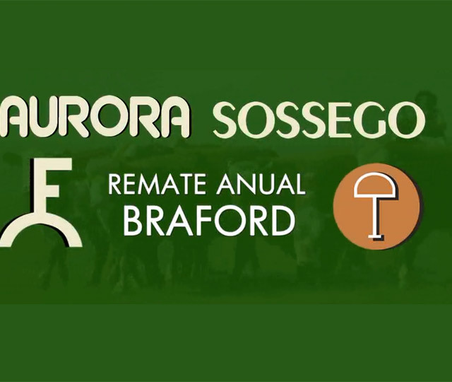 Remate Anual Aurora e Sossego