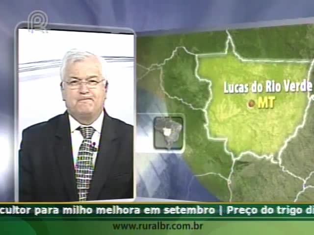 Começa plantio no interior de Mato Grosso