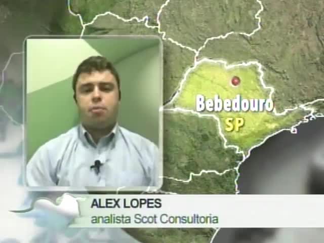 Analista da Scot Consultoria fala sobre preços da carne bovina