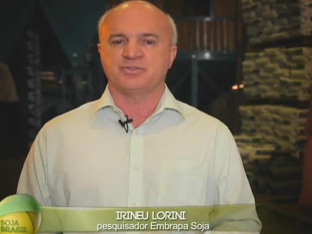 Momento Soja: Armazenagem e Logística