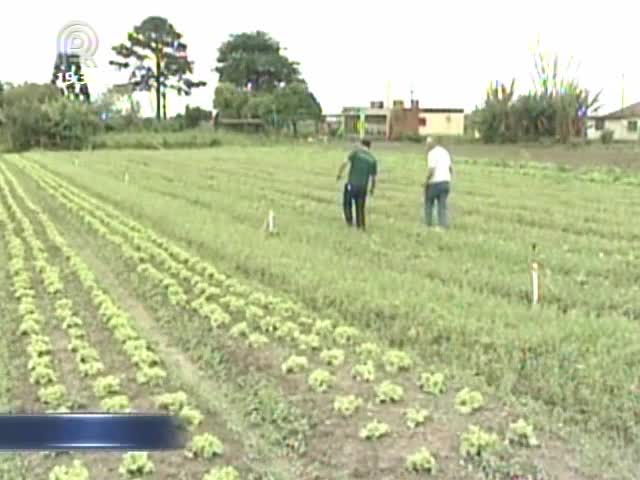 Pesquisa do Emater mostra que número de trabalhadores no campo vem caindo a cada ano