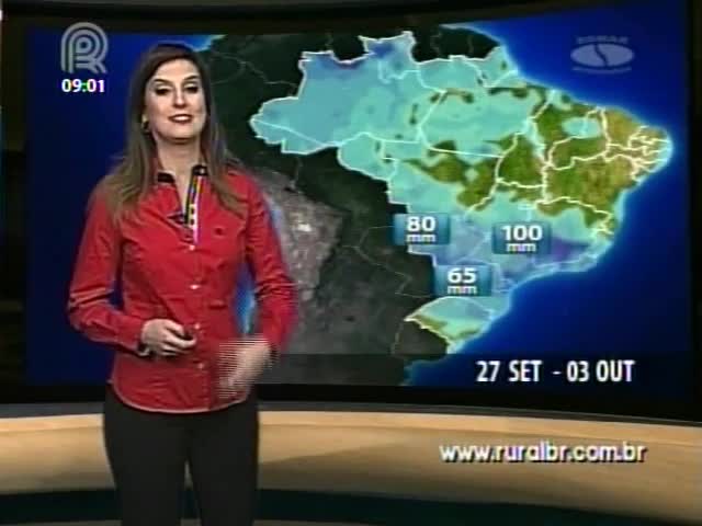 Brasil 15 dias especial