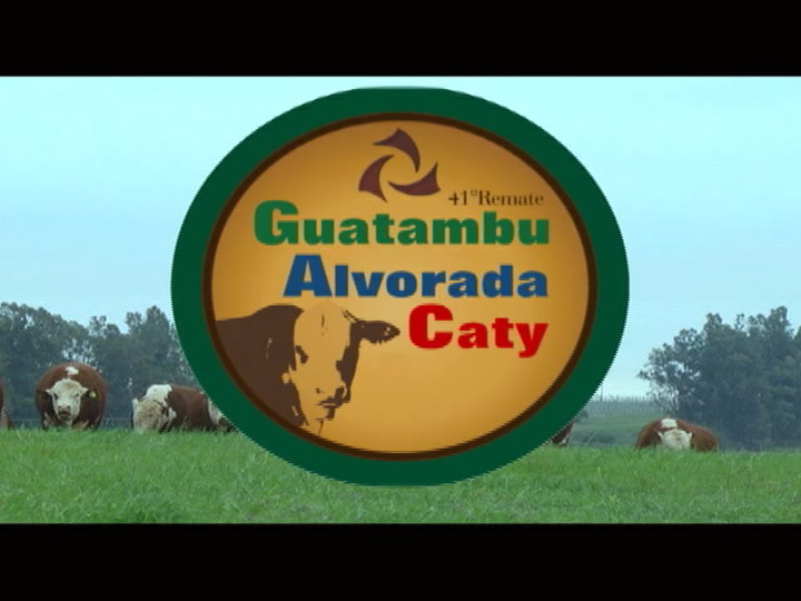 41° Remate Guatambu Alvorada Caty