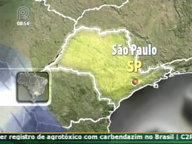 Preço do feijão carioca avança R$10,00 em uma semana