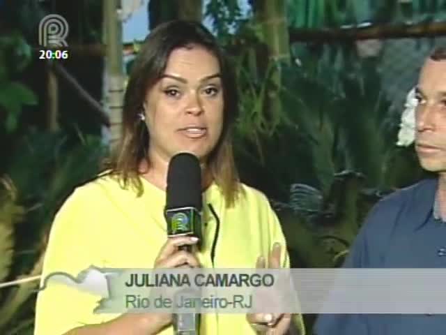 Surto da doença língua azul contaminou 100 ovinos em junho no Rio de Janeiro