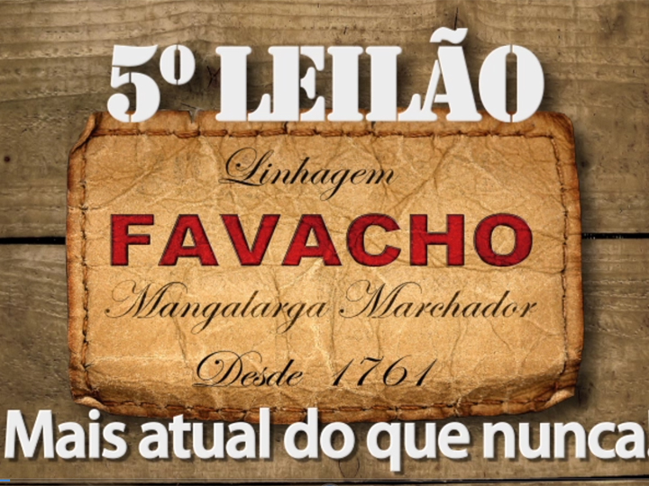 5° Leilão Linhagem Favacho