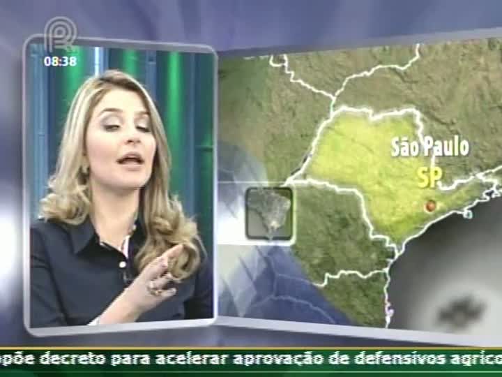 Miguel Daoud comenta carta divulgada por índios Terenas, que ameaçam reagir à criação de PEC 215