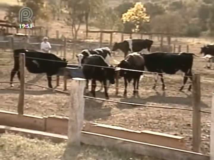 Rural Notícias mostra o perfil da população que vive no meio rural