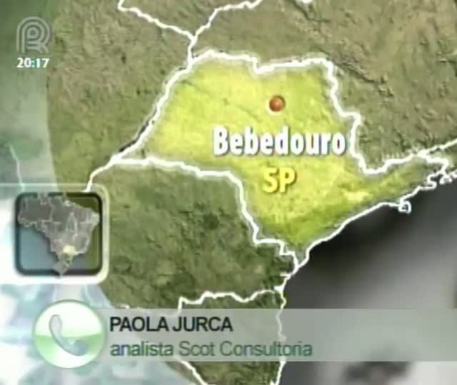 Analista da Scot Consultoria fala sobre o mercado de boi gordo