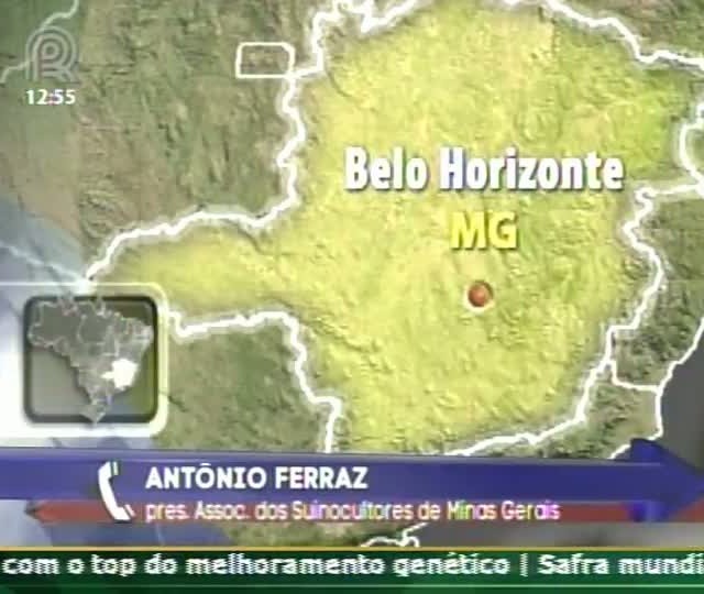 Preço do suíno sobe em Minas Gerais