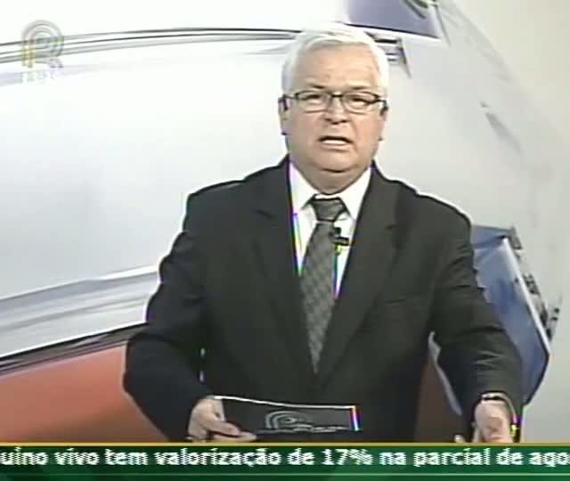 Pecuaristas de Mato Grosso fazem movimento para suspender abates