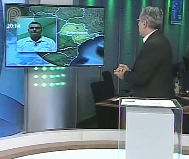Analista da Scot Consultoria fala sobre o preço do leite