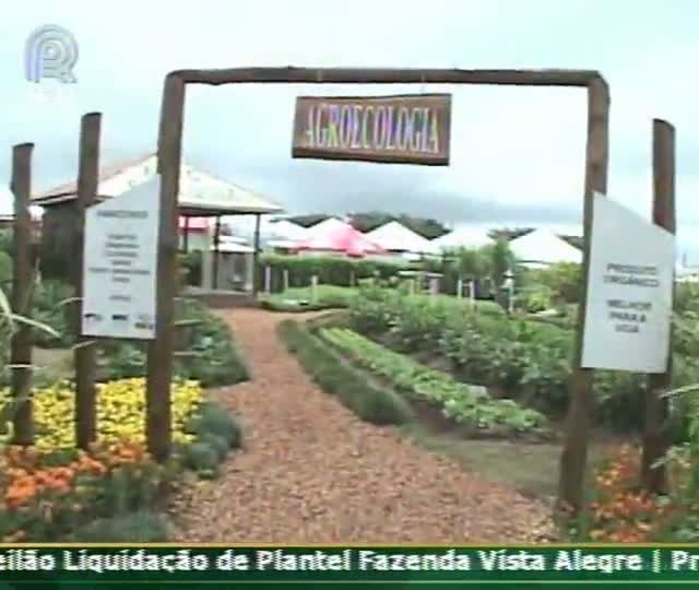 Veja como funciona a produção agroecológica