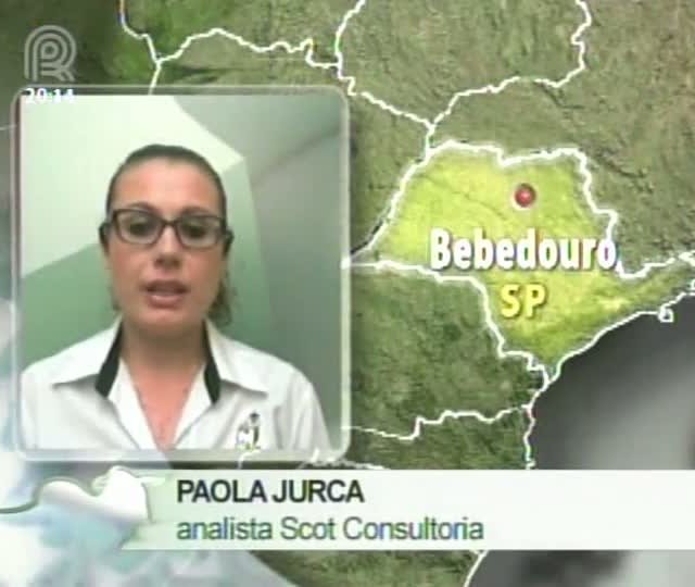 Analista da Scot Consultoria fala sobre o mercado do milho e do boi gordo