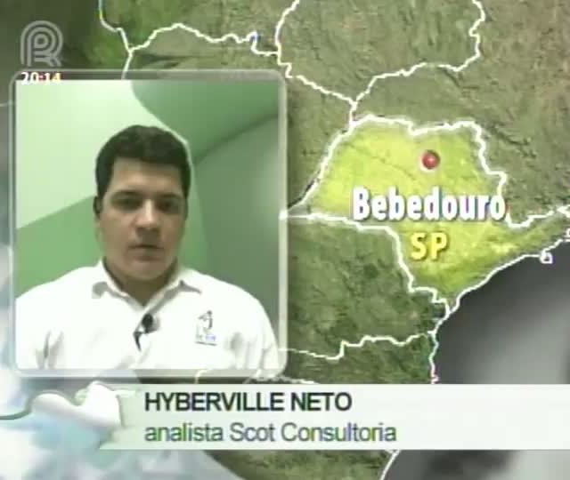 Analista da Scot Consultoria fala sobre o mercado de couro