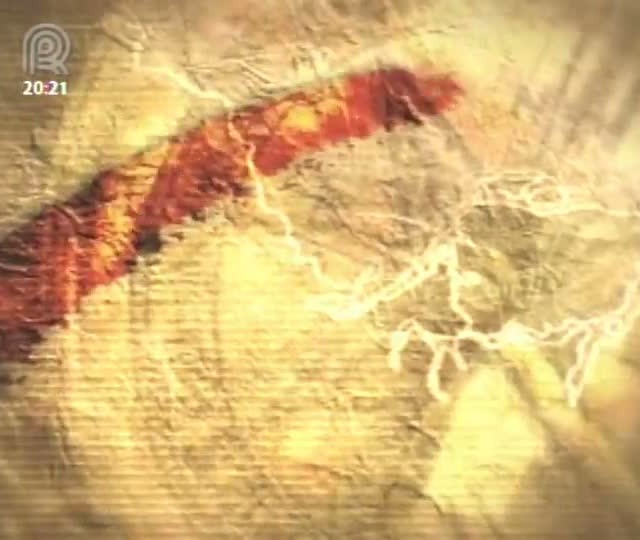 Melhoramento de pastagens é um dos grandes desafios para a pecuária