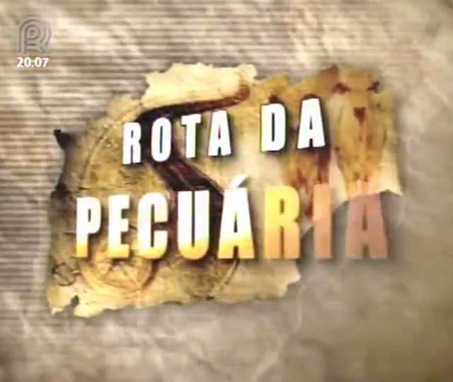 Prejuízos e o combate à cigarrinha das pastagens