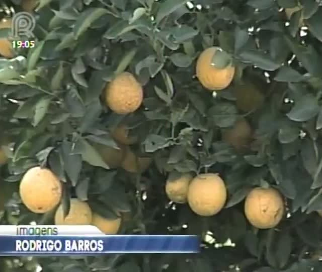 Lei que garante a destinação de 30% do dinheiro da merenda escolar aos agricultores familiares deve ser revisada