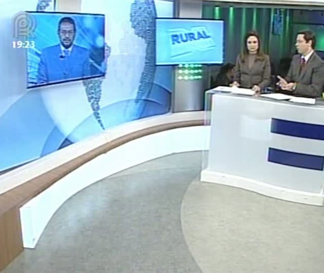 Miguel Daoud comenta o anúncio de dois leilões pelo Banco Central