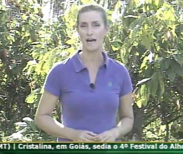 Técnica Rural - Conheça o sistema que integra a cultura do cacau com a seringueira