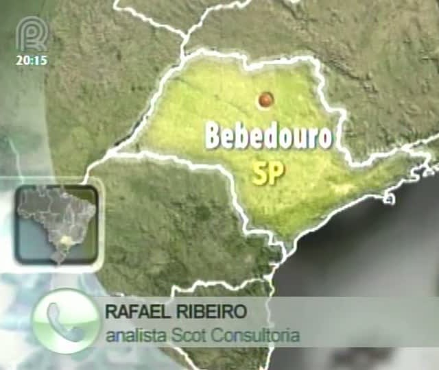 Analista da Scot Consultoria fala sobre a relação de troca de boi gordo e milho