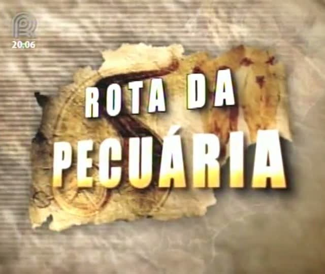 Integração de culturas e pastagens consorciadas
