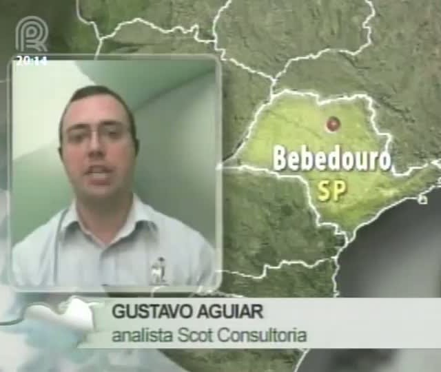 Analista da Scot fala sobre o mercado de boi gordo