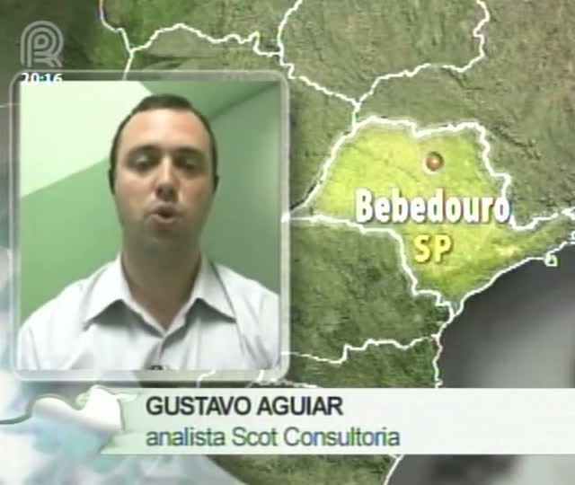 Analista da Scot fala sobre o mercado externo