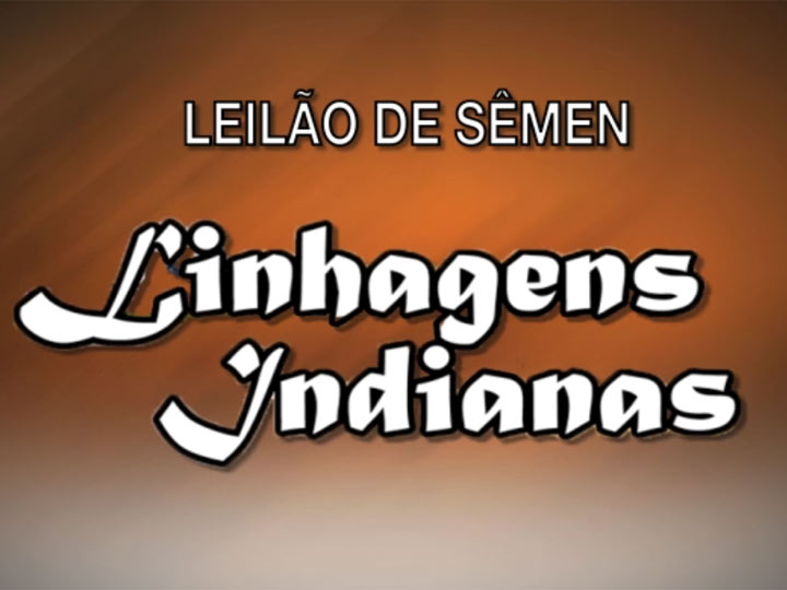 Leilão Linhagens Indianas